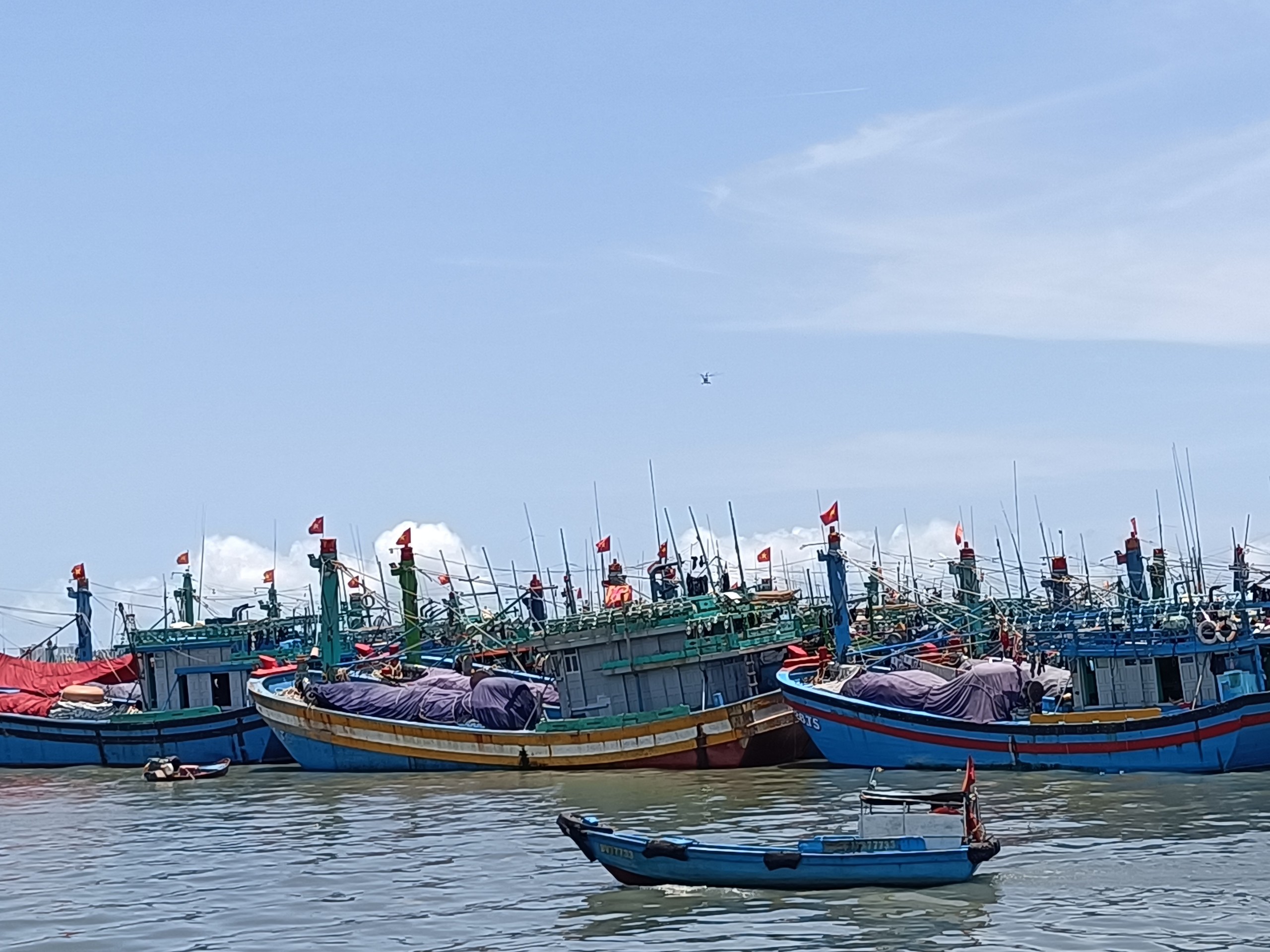 Tàu cá cập cảng Bến Đá (TP.Vũng Tàu).