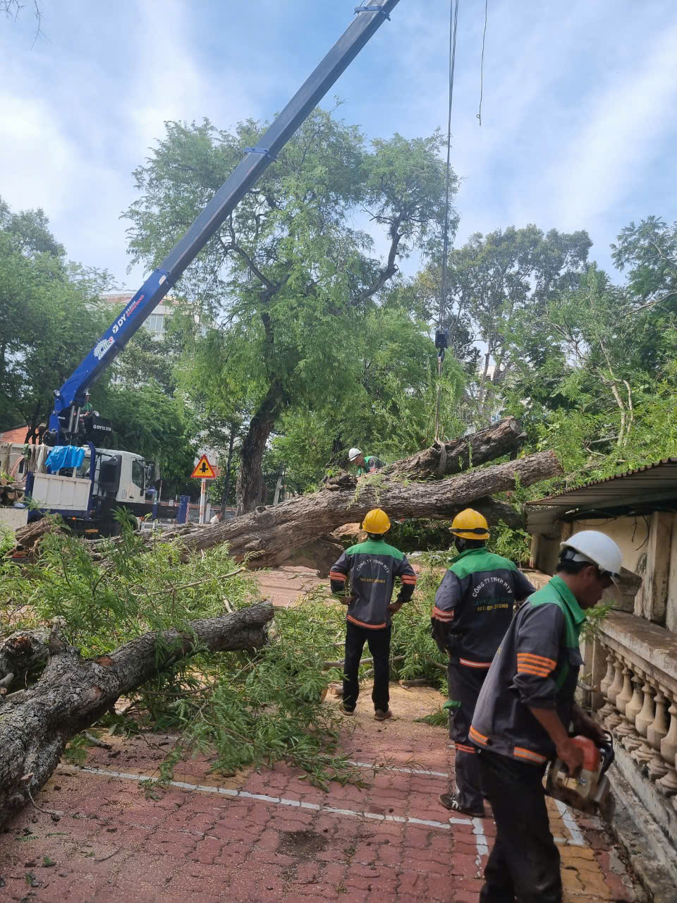 UPC huy động công nhân và các phương tiện chuyên dụng đến xử lý cây bị đổ