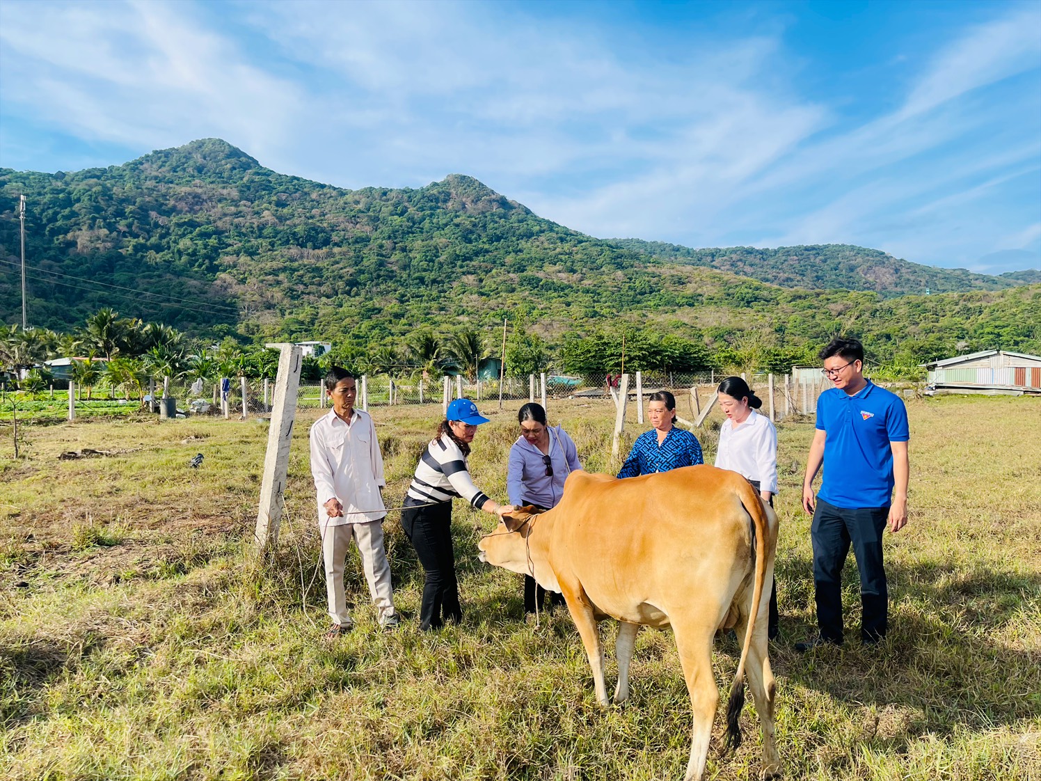 Đại diện MTTQ Việt Nam huyện kiểm tra mô hình trao bò tại hộ ông Thạch An.