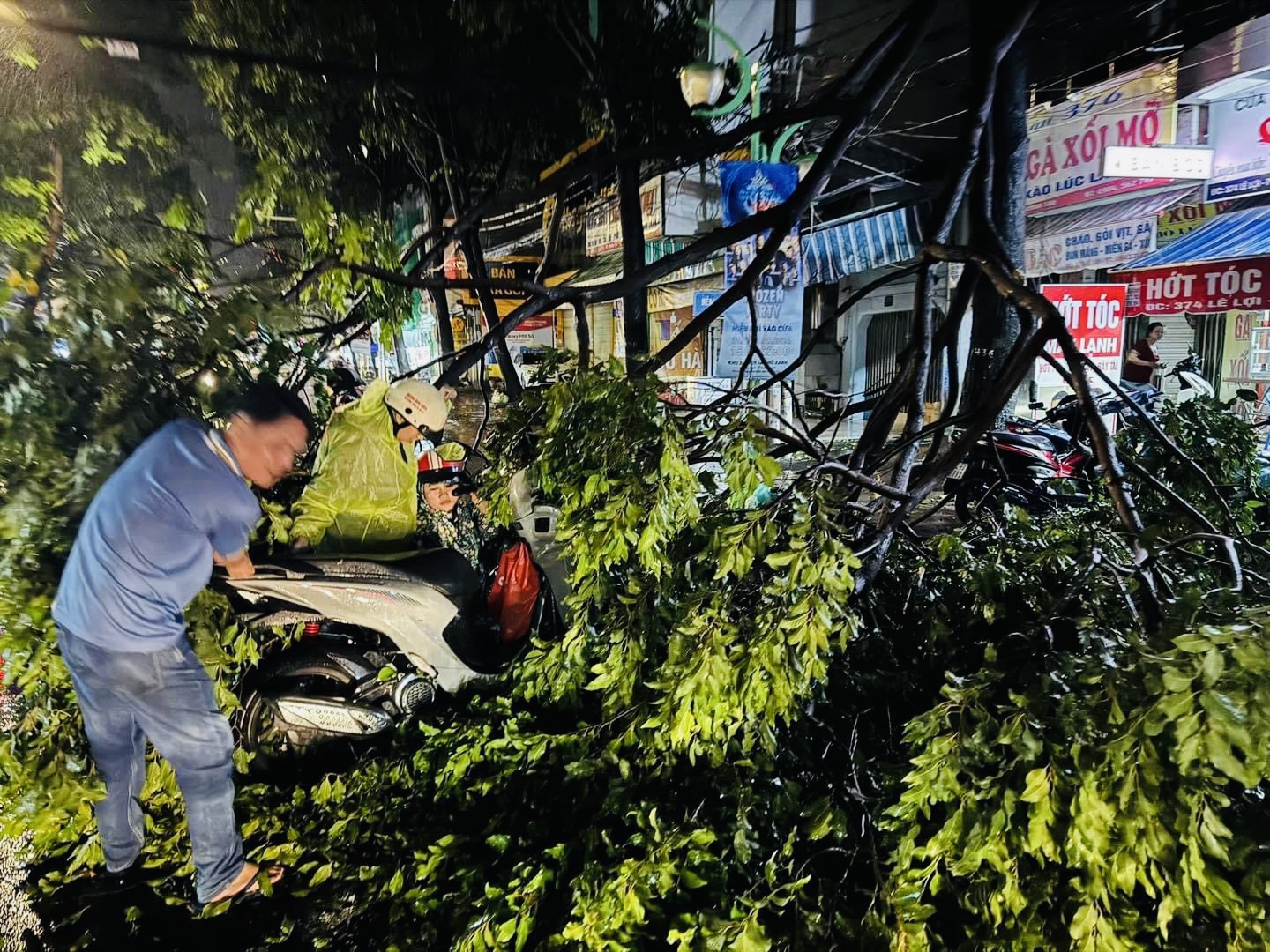 Một cành cây lớn trên đường Lê Lợi gãy đè lên phương tiện, bít lối vào nhà của người dân. Ảnh: Người dân cung cấp