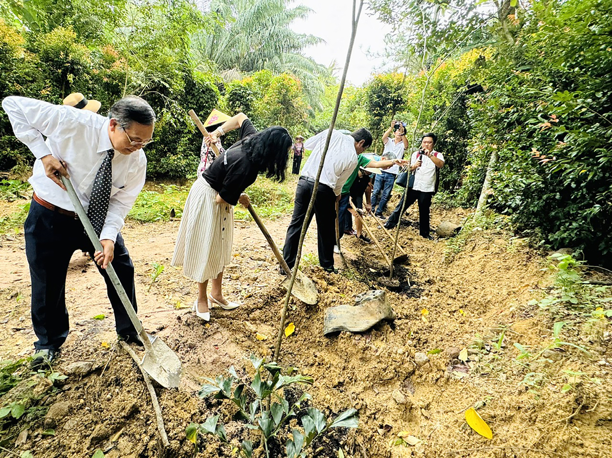 Hoạt động trồng cây tại Suối Rao Ecolodge.