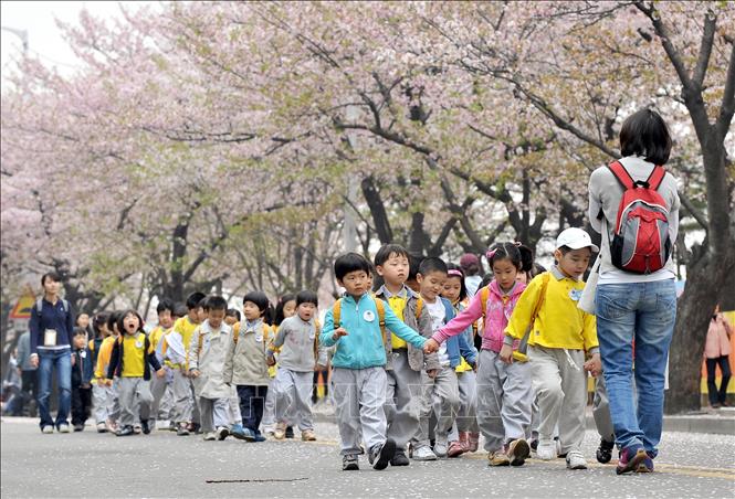 Giáo viên đưa trẻ em mẫu giáo dã ngoại tại Seoul, Hàn Quốc.