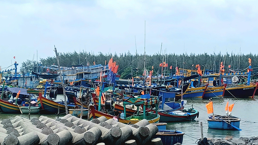 Tàu cá neo đậu tại cảng Lộc An, huyện Đất Đỏ.