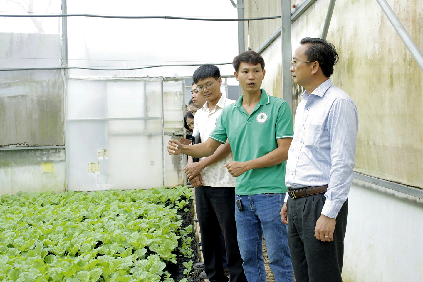 Ông Nguyễn Viết Tự (thứ 2 từ phải sang) giới thiệu mô hình trồng rau trong nhà màng cho đoàn giám sát hàng Việt.