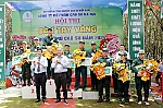 Những bàn tay vàng của thợ mủ