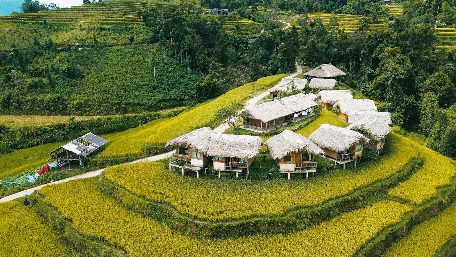 Những thửa ruộng bậc thang óng ả tạo nên một khung cảnh nên thơ giữa núi rừng, làm mê đắm du khách đường xa.