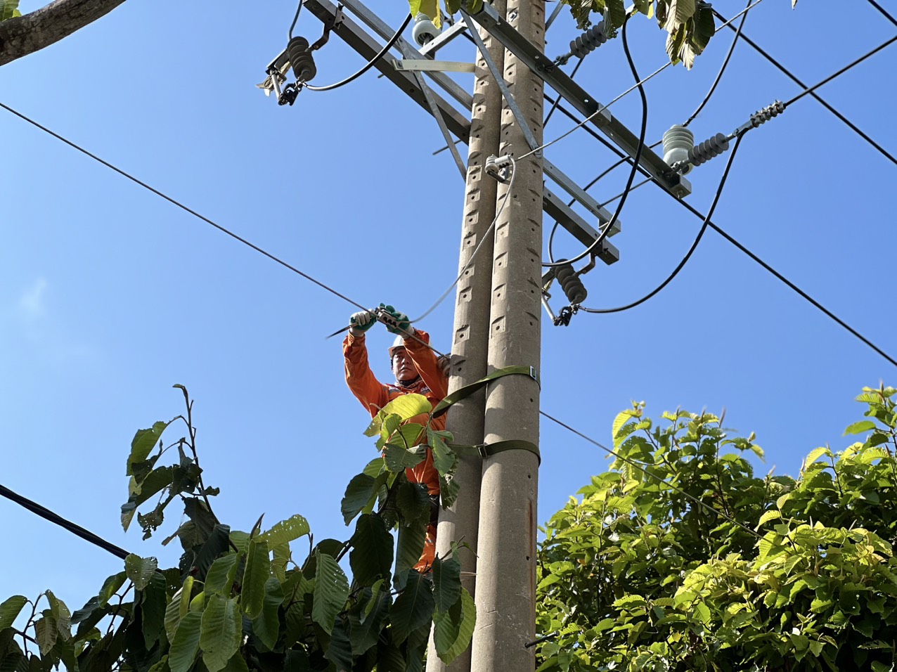 Việc bảo trì, bảo dưỡng lưới điện là hoạt động định kỳ, cần thiết để bảo đảm an toàn cung cấp điện, đặc biệt trong mùa mưa bão.