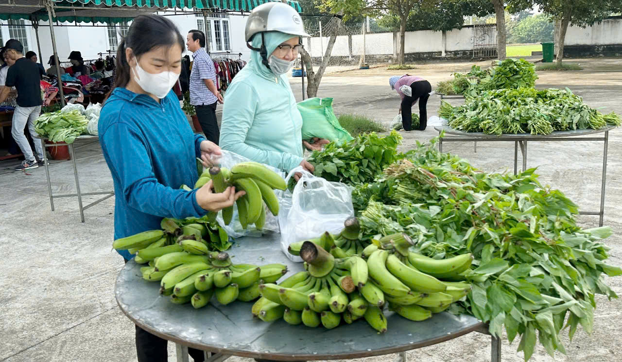 Các kệ rau xanh sạch được bày bán giá o đồng.