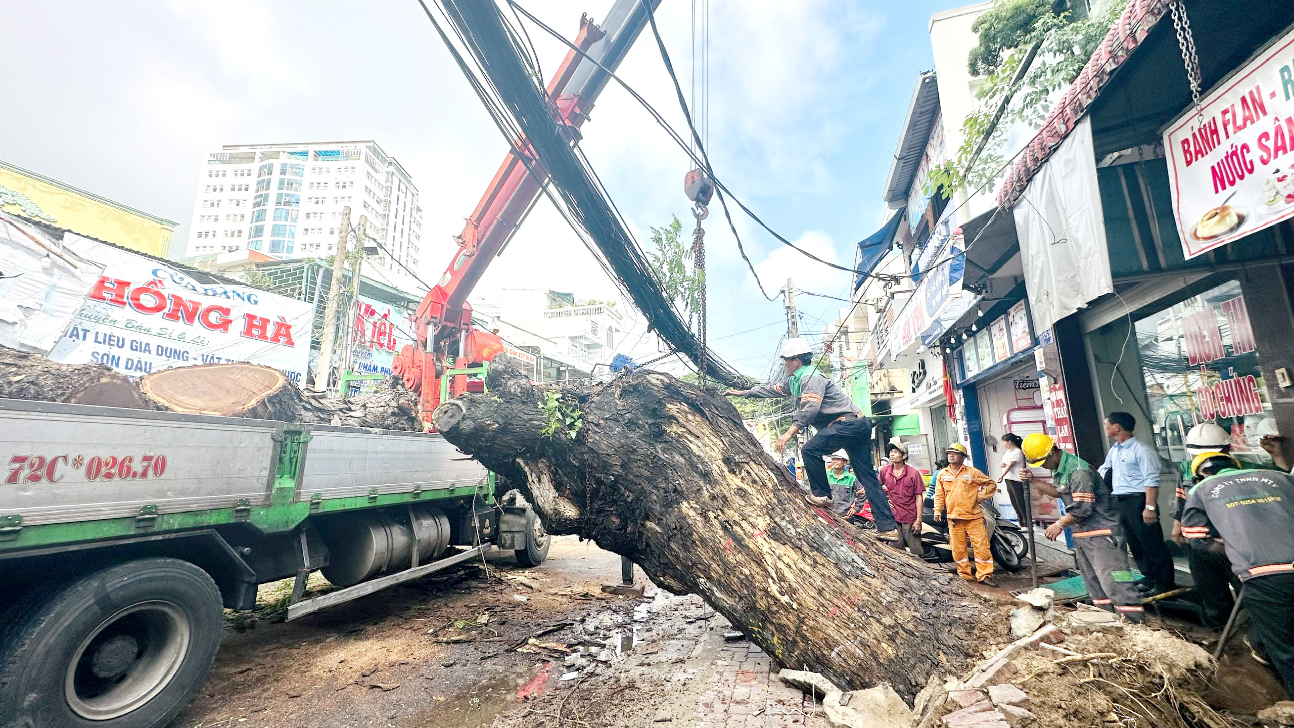 Công nhân và phương tiện của UPC xử lý cây cổ thụ đổ trên đường Lê Lai sáng 25/10.