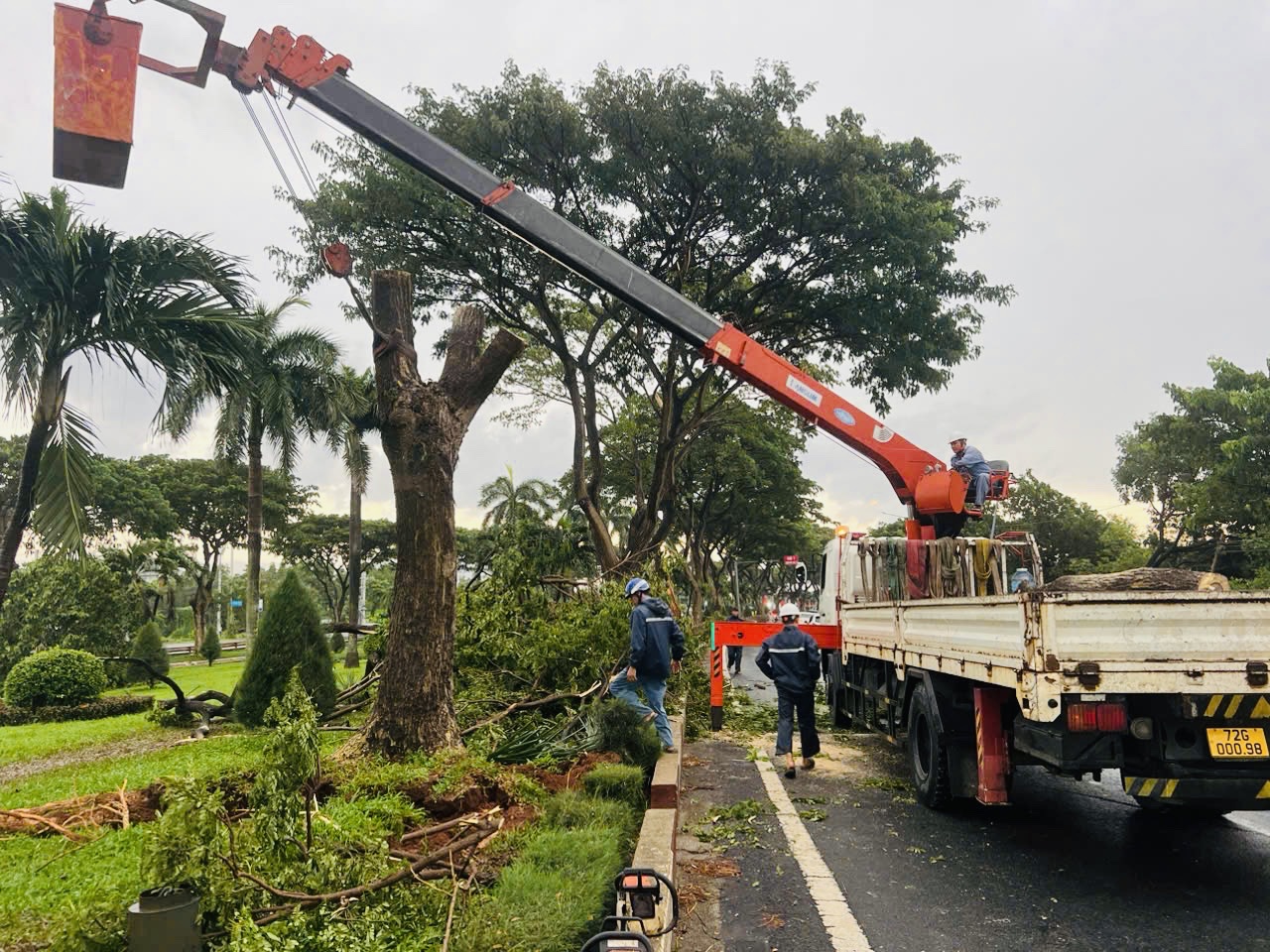 Công ty CP dịch vụ đô thị Bà Rịa đã huy động 15 công nhân, 2 xe chuyên dụng, 6 máy cưa đến hiện trường xử lý sự cố