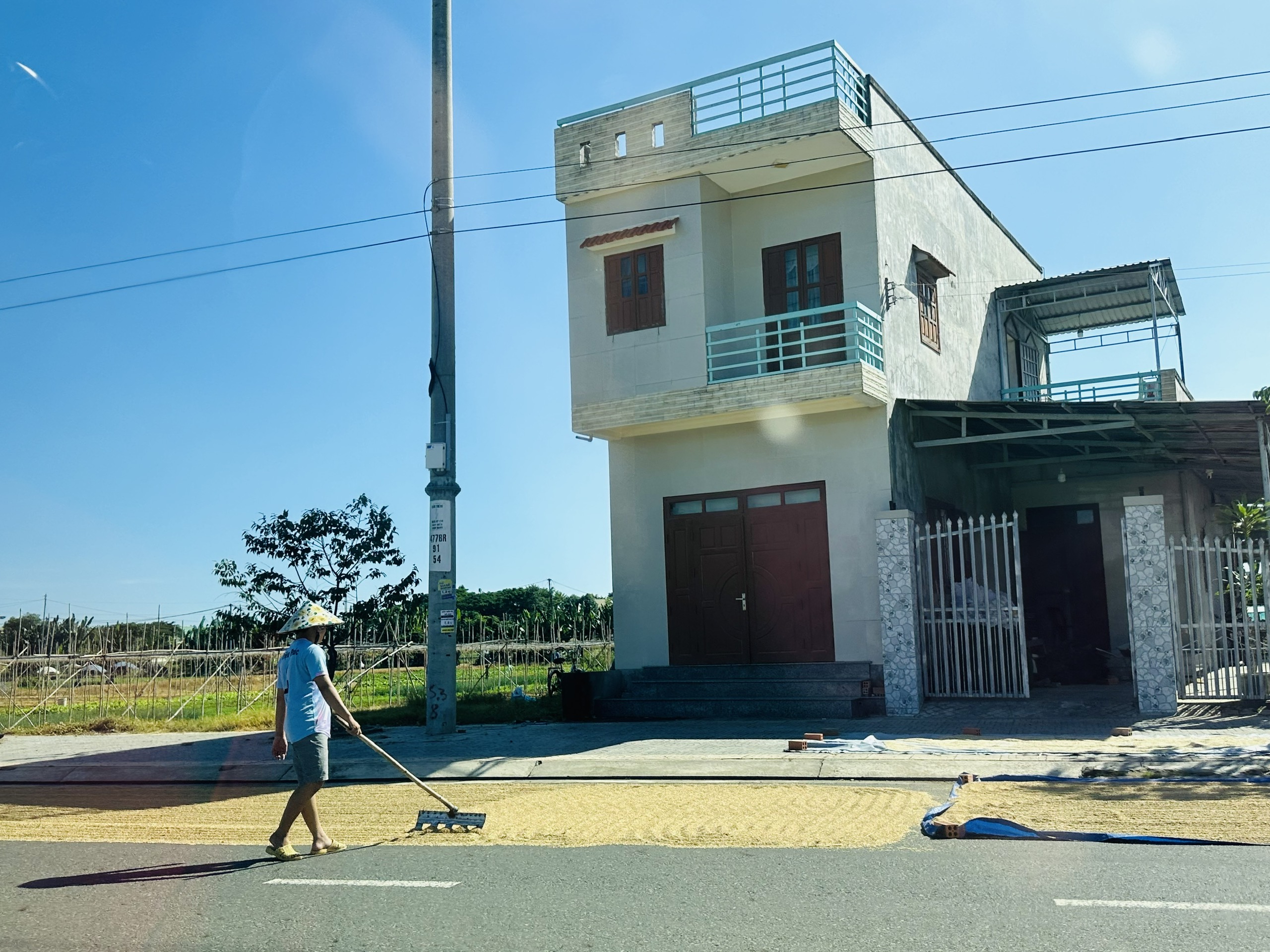 Quốc lộ 56 thành… sân phơi lúa