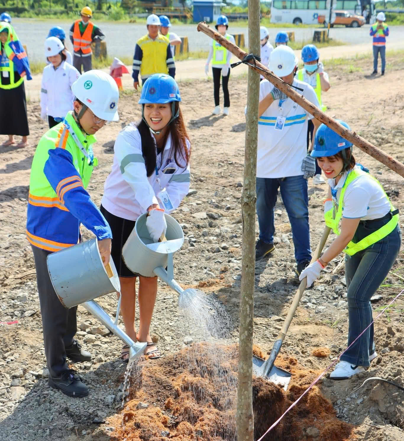 Chương trình trồng cây mang tên “Ươm mầm trái đất xanh, giữ cho tương lai sáng” tại Công ty VNL.