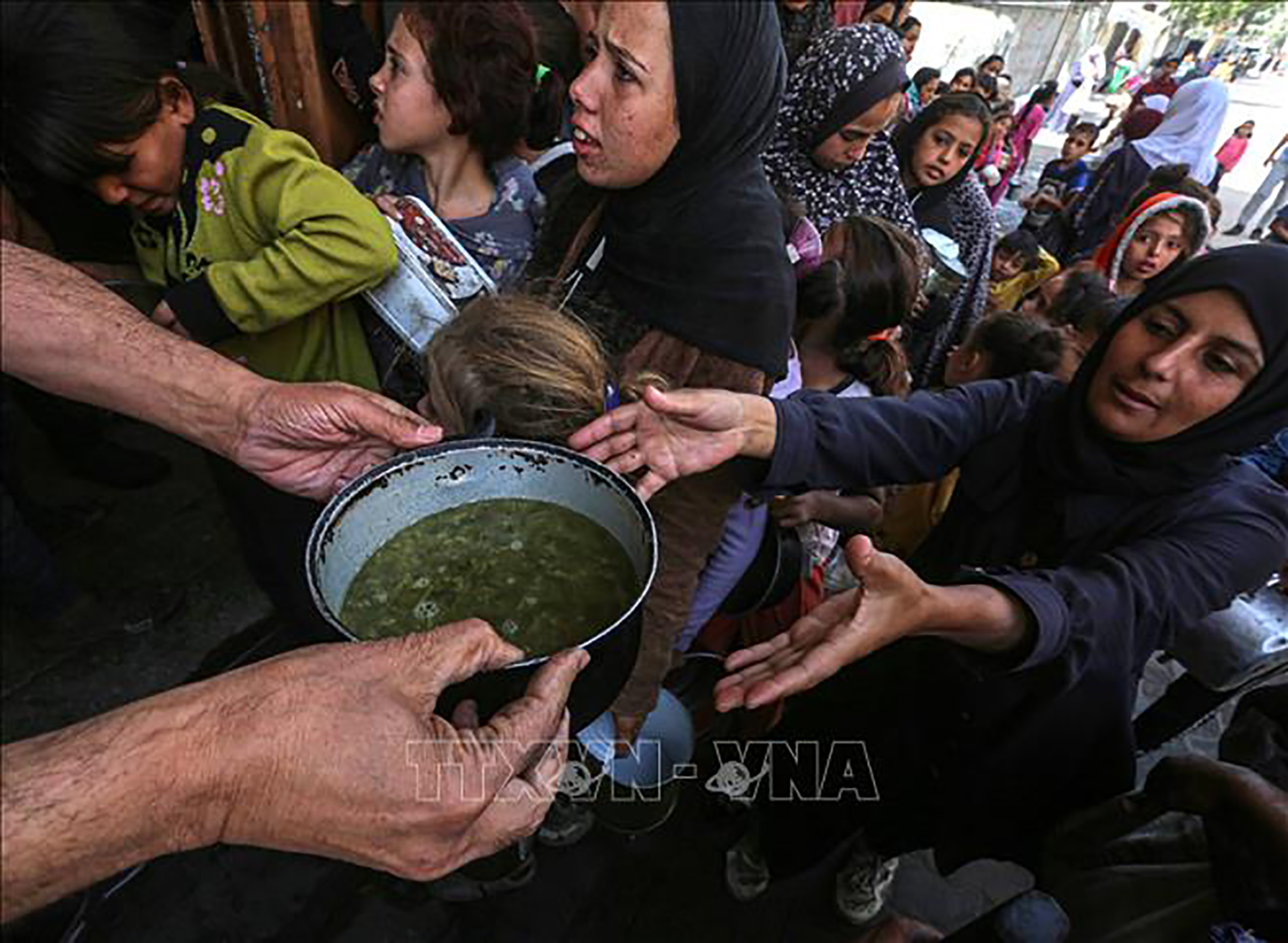 Tình nguyện viên phân phát thực phẩm cứu trợ cho người dân tại Gaza.