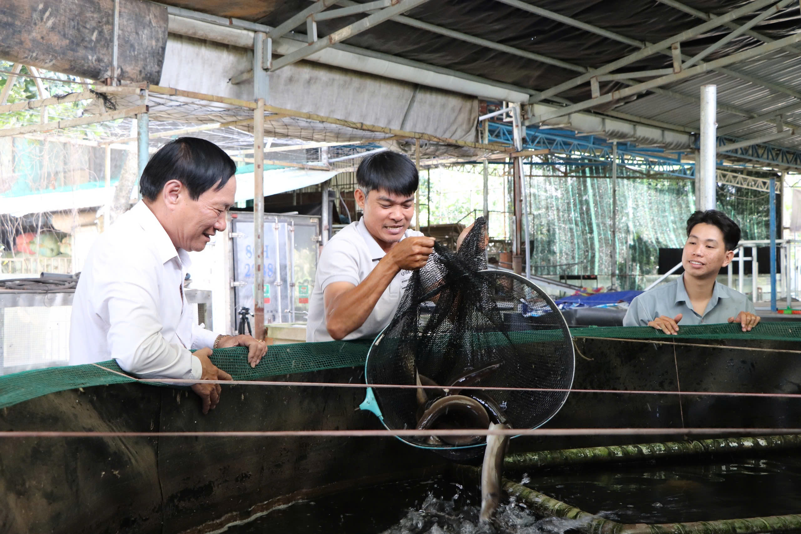 Ông Phạm Văn Hinh (trái), Chủ tịch Hội Làm vườn huyện Châu Đức thăm cơ sở nuôi cá chình của ông Đoàn Xuân Khiêm (xã Nghĩa Thành) với 15 hồ nuôi, mỗi năm mang về lợi nhuận hơn 1,5 tỷ đồng.