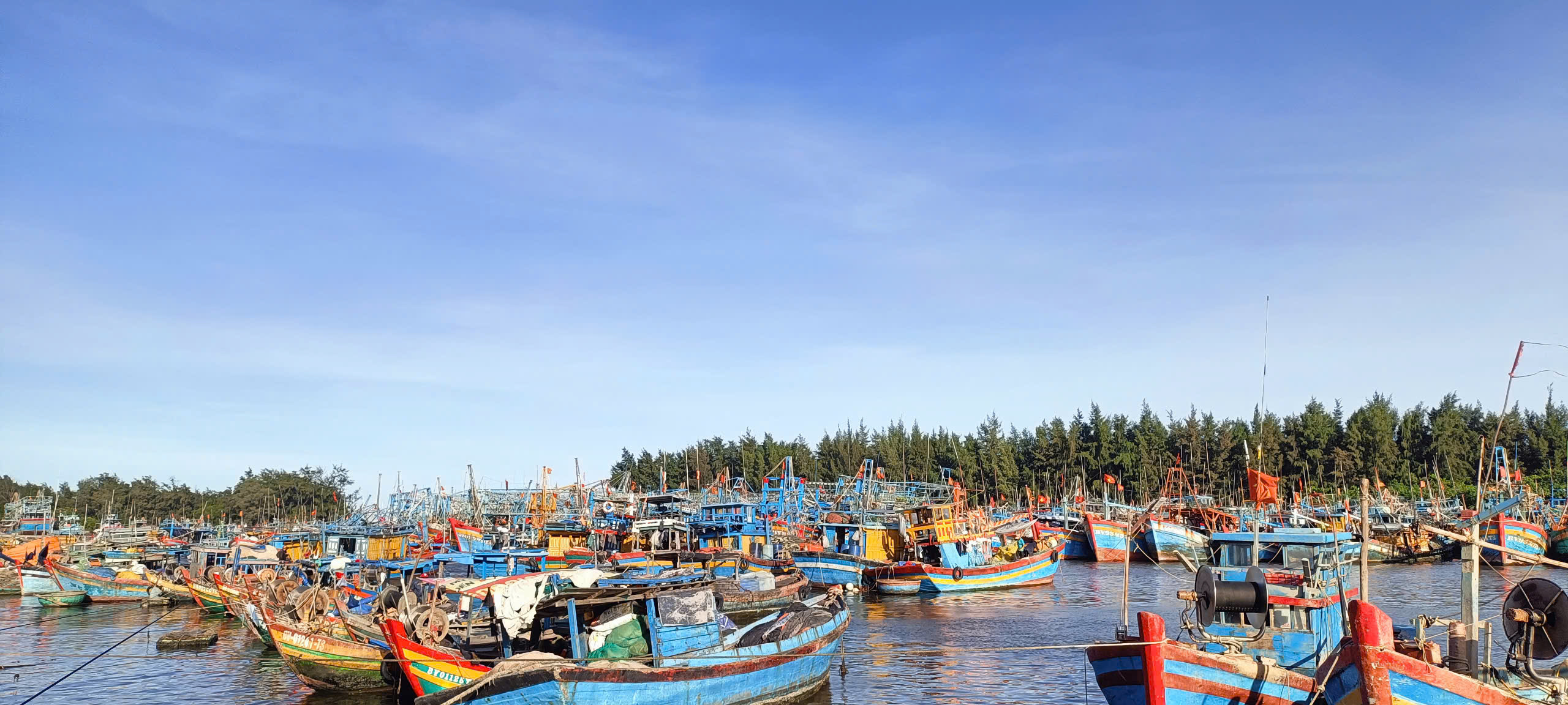 Tỷ lệ cấp giấy phép khai thác thủy sản còn thấp