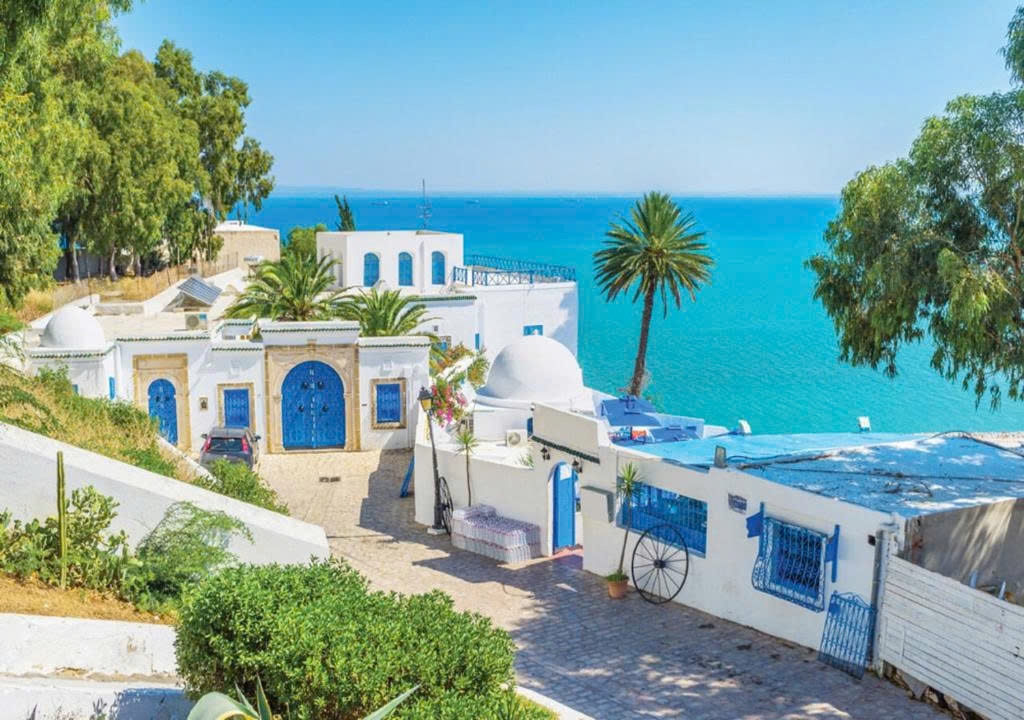 Sidi Bou Said khoác lên mình vẻ đẹp đặc trưng của vùng đất Địa Trung Hải với rất nhiều ngôi nhà sơn  màu trắng toát, được tô điểm bằng những ô cửa sổ màu xanh.