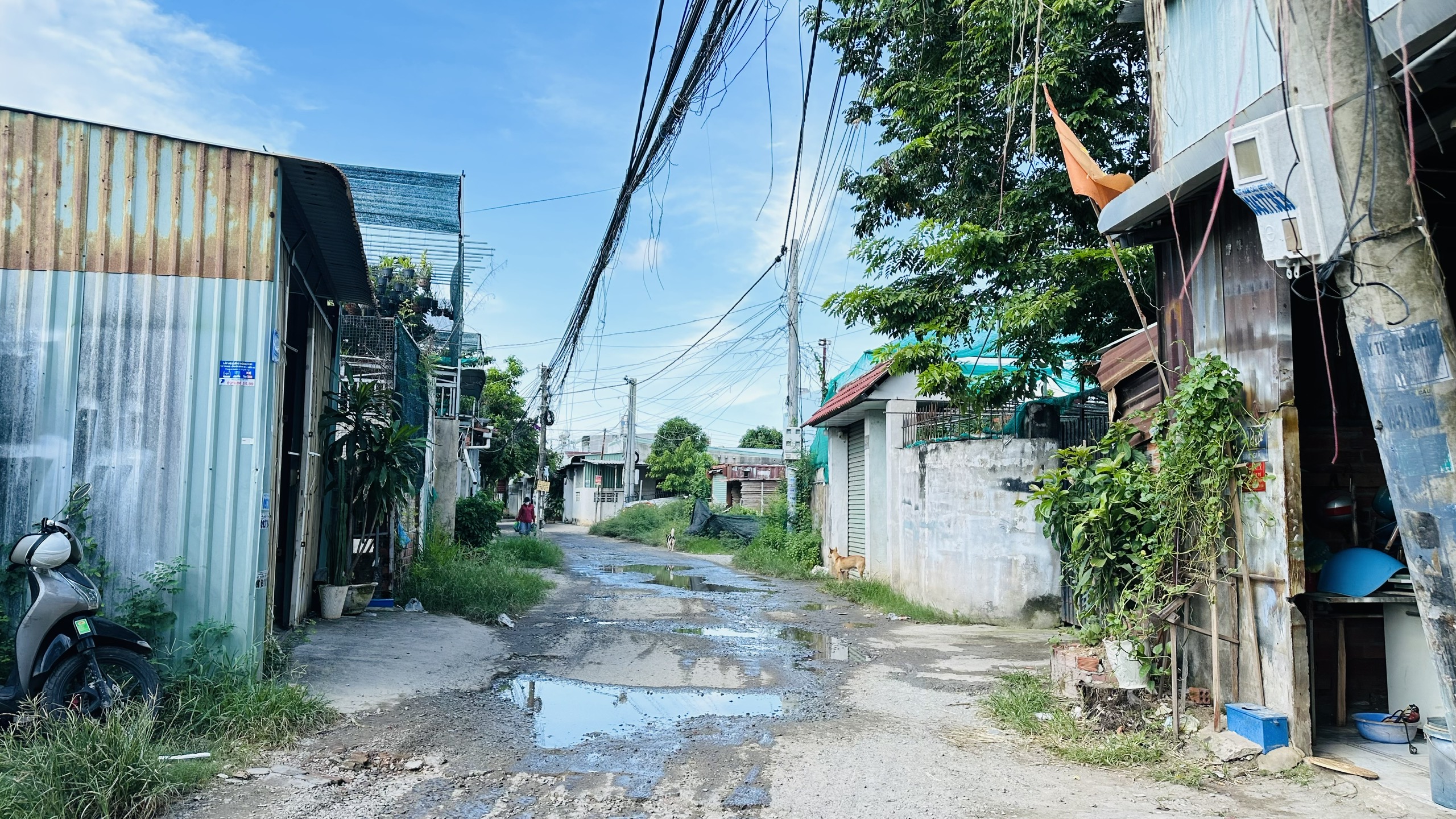 Khu dân cư Bàu Trũng (phường Nguyễn An Ninh, TP.Vũng Tàu) dù nằm ngay trung tâm thành phố nhưng thiếu thốn các điều kiện thiết yếu do vướng quy hoạch.