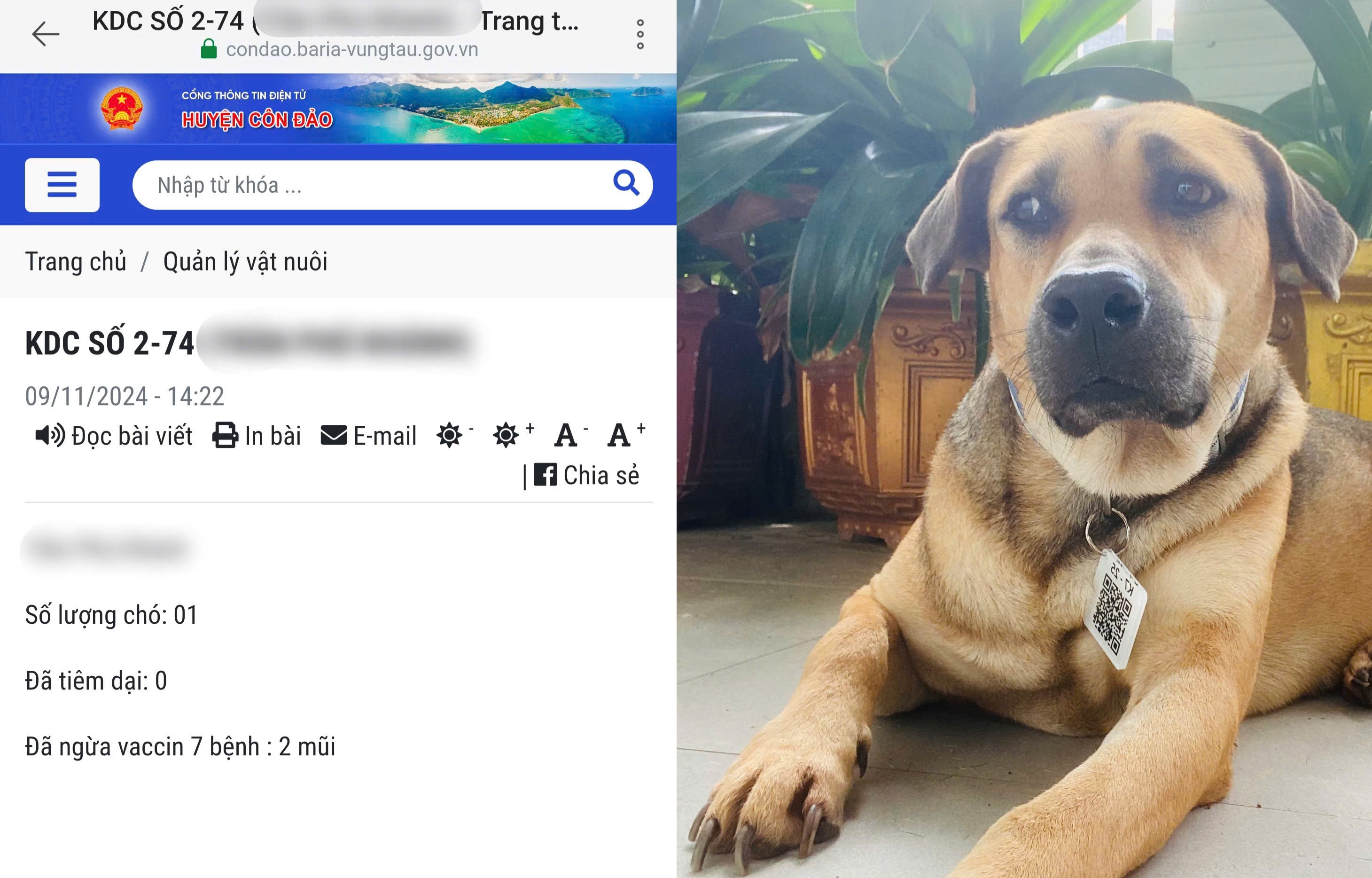 Các thông tin của vật nuôi được công khai trên Cổng thông tin UBND huyện Côn Đảo.