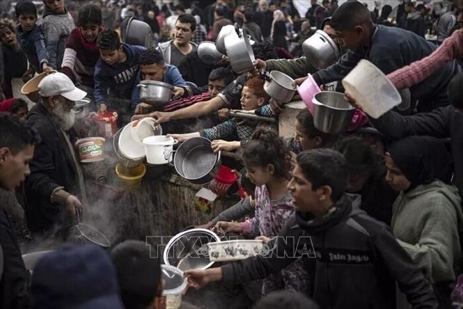 Người dân Palestine nhận thức ăn cứu trợ tại Dải Gaza.