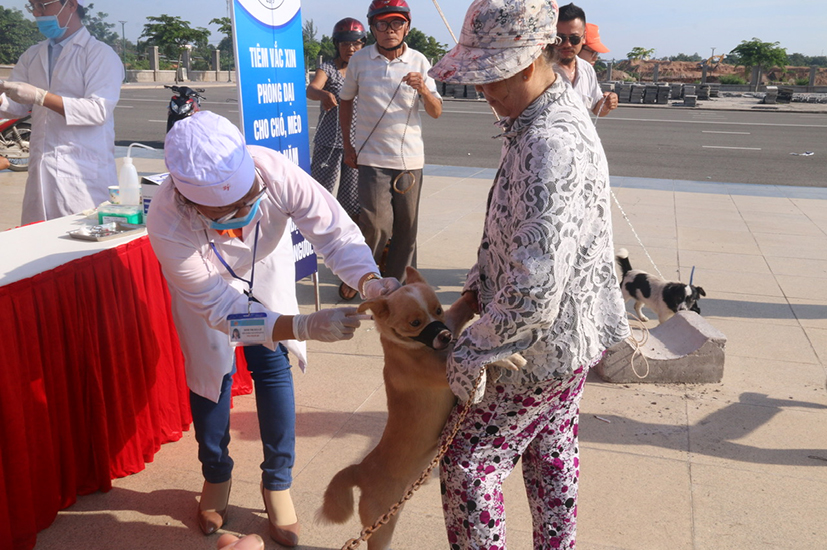 Người nuôi chó, mèo cần chủ động đưa động vật đi tiêm vắc xin phòng ngừa bệnh dại.