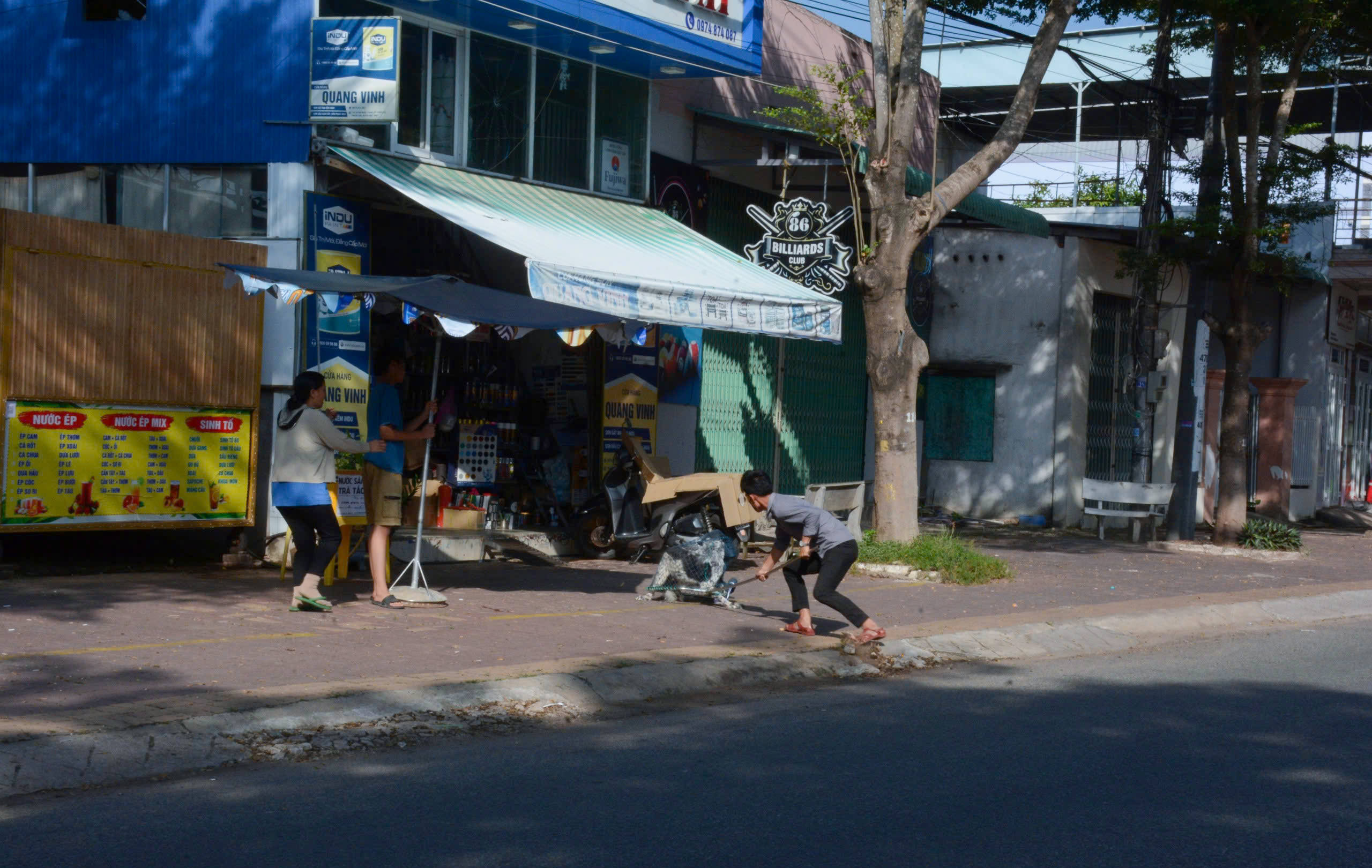 Đội phát hiện, bắt một con chó thả rông trên đường Huỳnh Minh Thạnh.