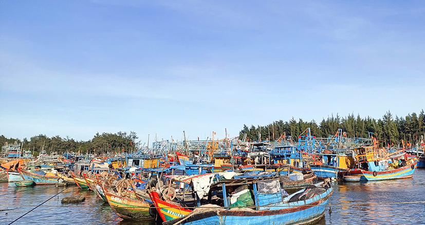 Mùa gió Bắc, ghe tàu nằm bờ ở cảng Bến Lội - Bình Châu (huyện Xuyên Mộc).