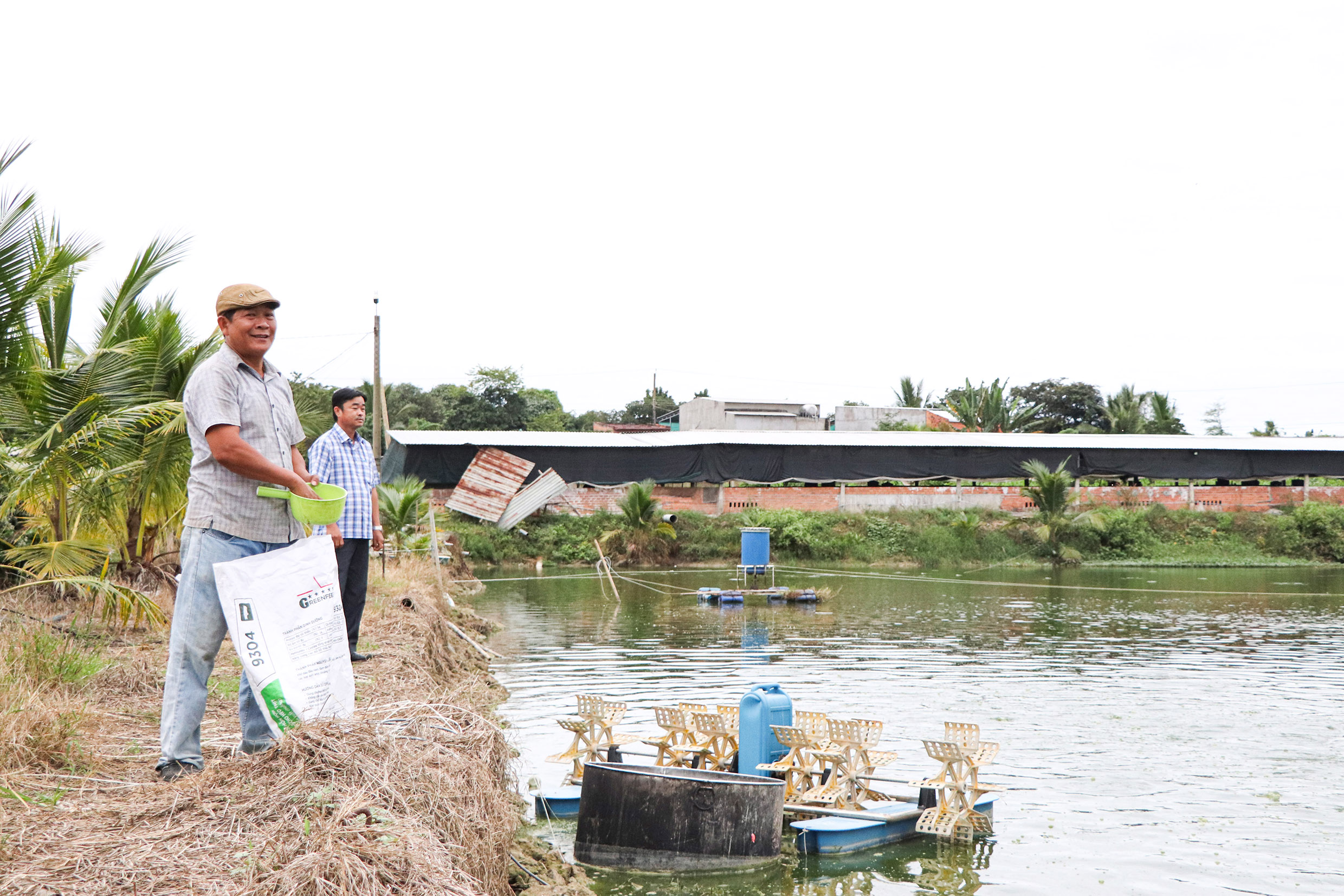 Ông Lê Tấn Hoàng tận dụng các chất thải từ chăn nuôi, xử lý để nuôi 3 ao cá tra, cá lóc với diện tích mặt nước khoảng 1ha.