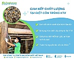 Diệt Côn Trùng KTX - Loại Bỏ Mối Tận Gốc Với Dịch Vụ Diệt Mối Chuyên Nghiệp