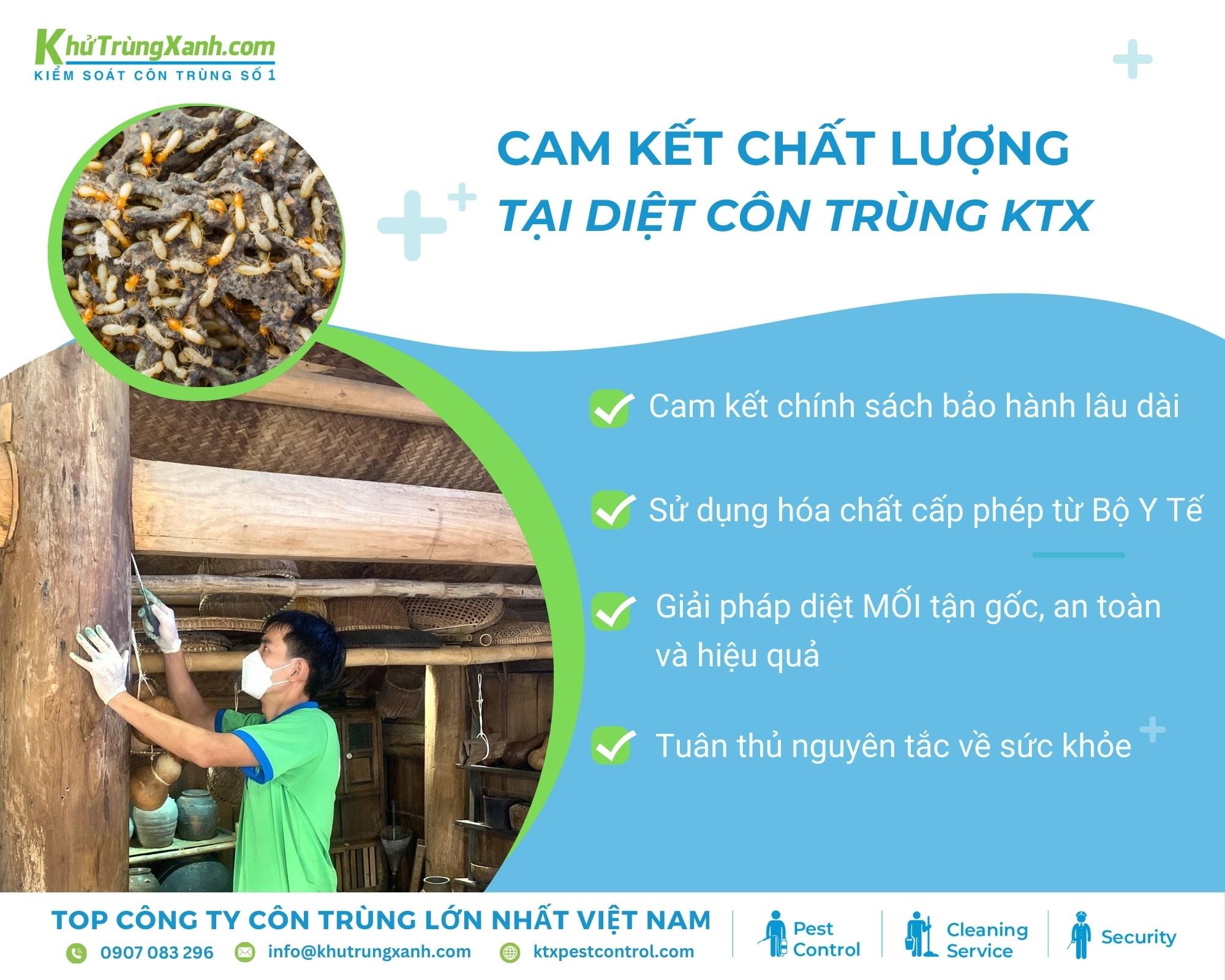 Diệt Côn Trùng KTX - Loại Bỏ Mối Tận Gốc Với Dịch Vụ Diệt Mối Chuyên Nghiệp