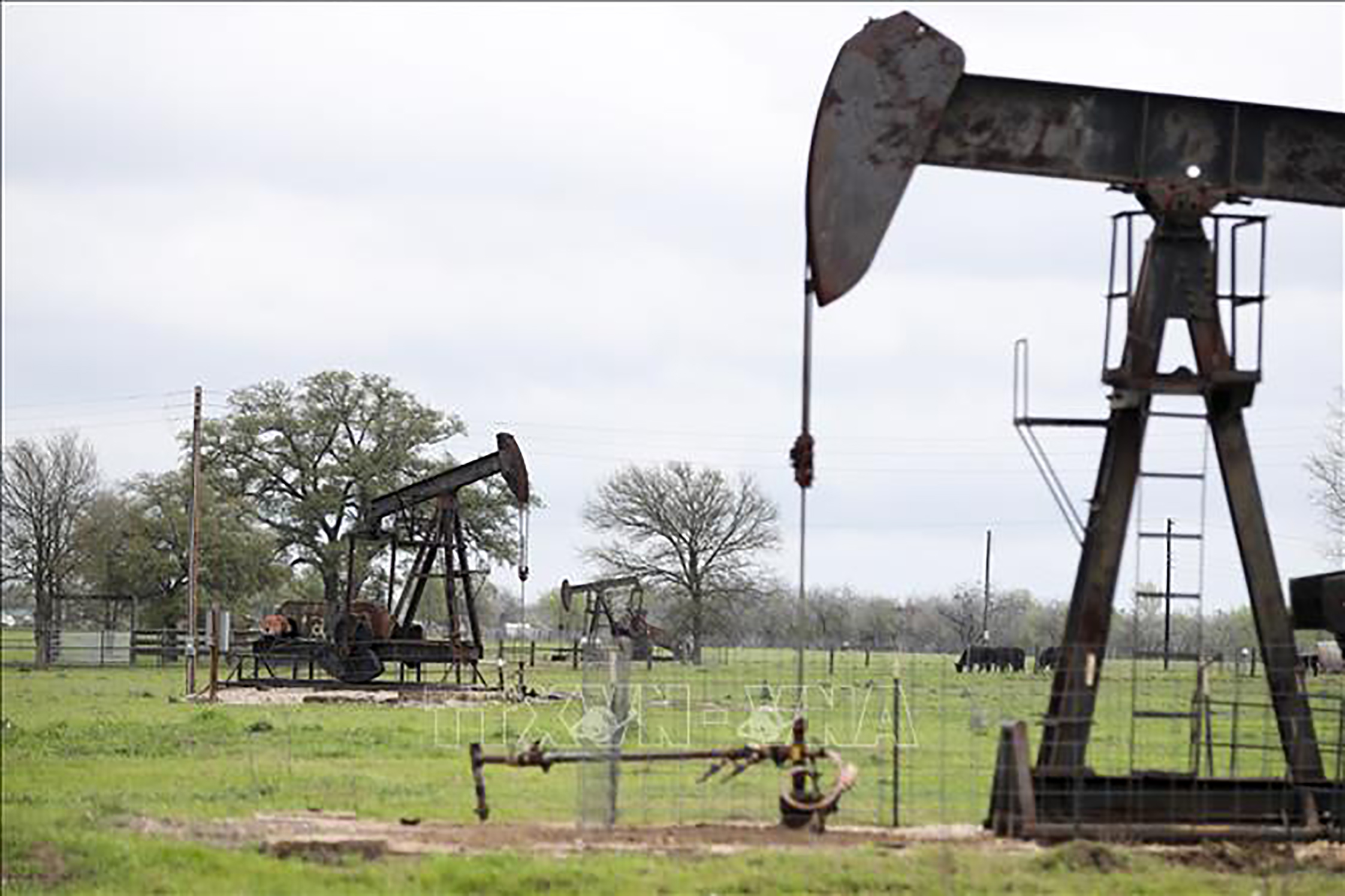 Giàn khoan dầu tại Luling, Texas, Mỹ.