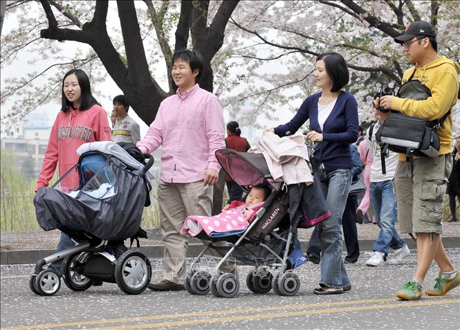 Cha mẹ đưa trẻ nhỏ đi dạo trong công viên ở Seoul, Hàn Quốc.