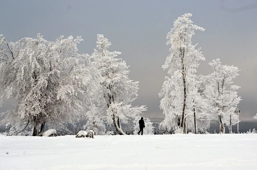 Tuyết phủ trắng xóa trên núi Kahler Asten ở gần Winterberg, Đức.