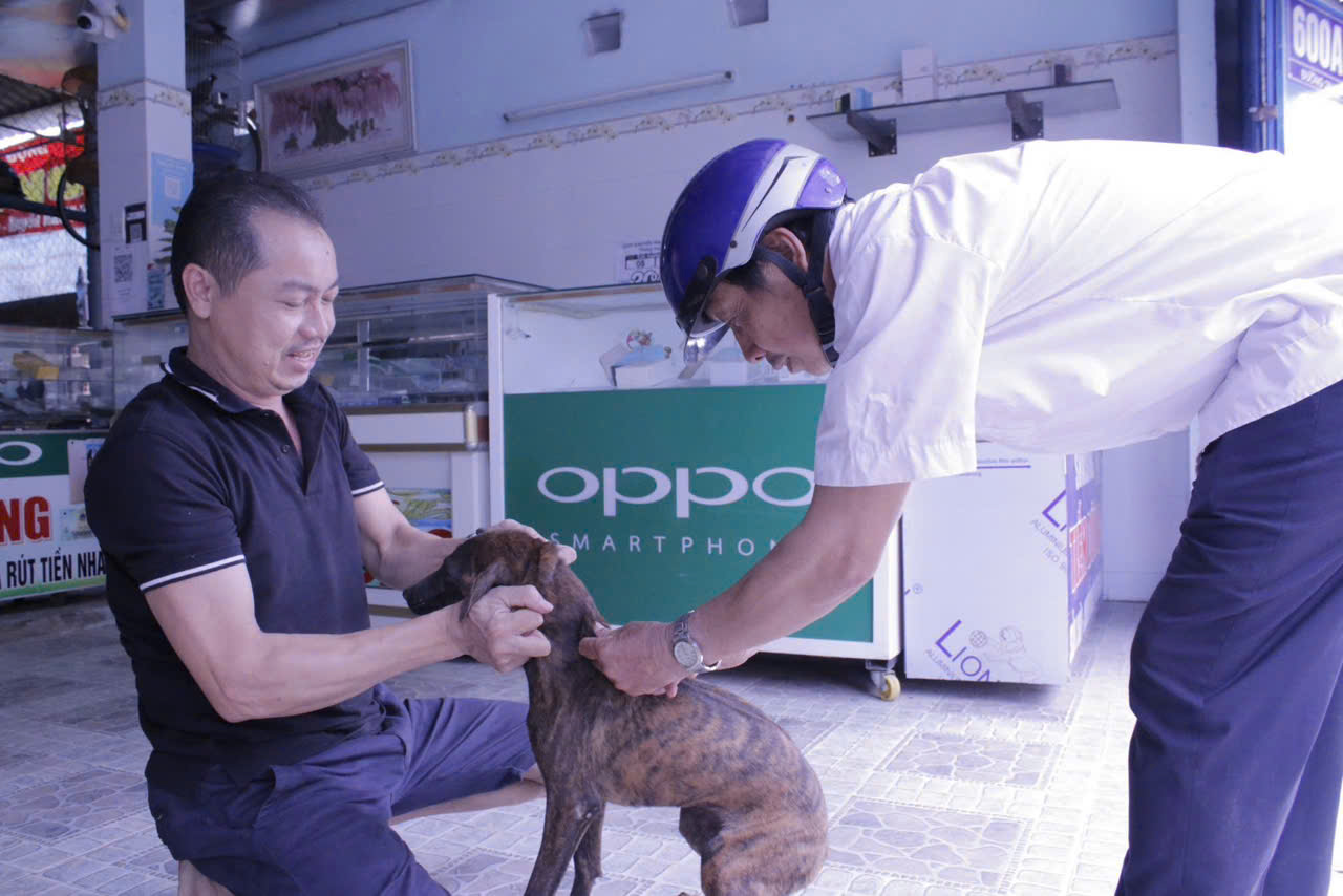 Nhiều người nuôi chó, mèo chưa tuân thủ các quy định về nuôi động vật. Trong đó, một số gia đình chưa tự giác tiêm vắc xin phòng bệnh dại cho chó, mèo.