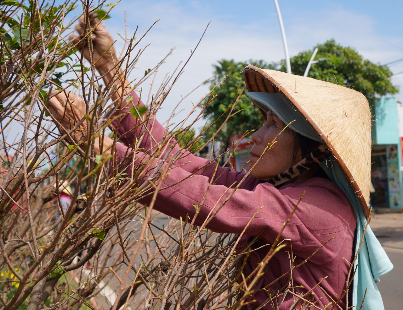 Những người dân