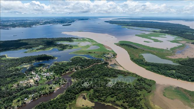 Sông Amazon tại Manaus, bang Amazonas, Brazil.