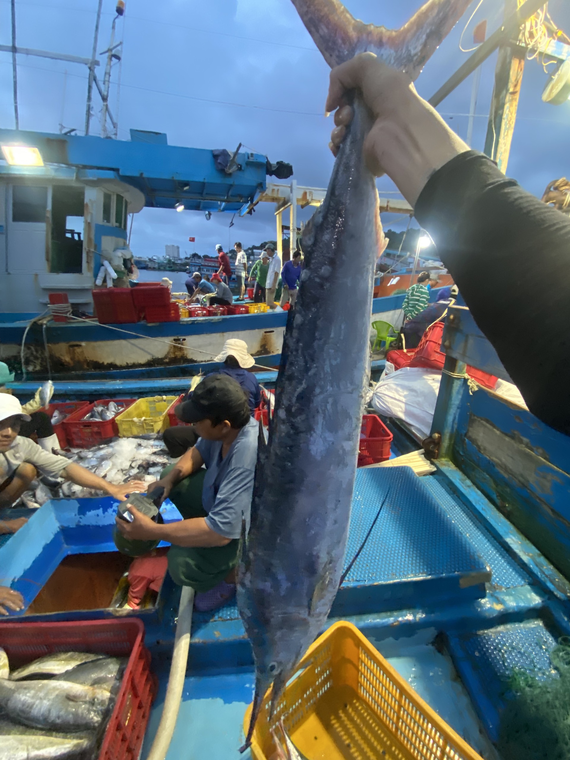 Lộc biển cuối năm ở tàu ông Nguyễn Đình Ngọc (cảng Incomap, TP.Vũng Tàu), hội viên Hội Nghề cá TP.Vũng Tàu.
