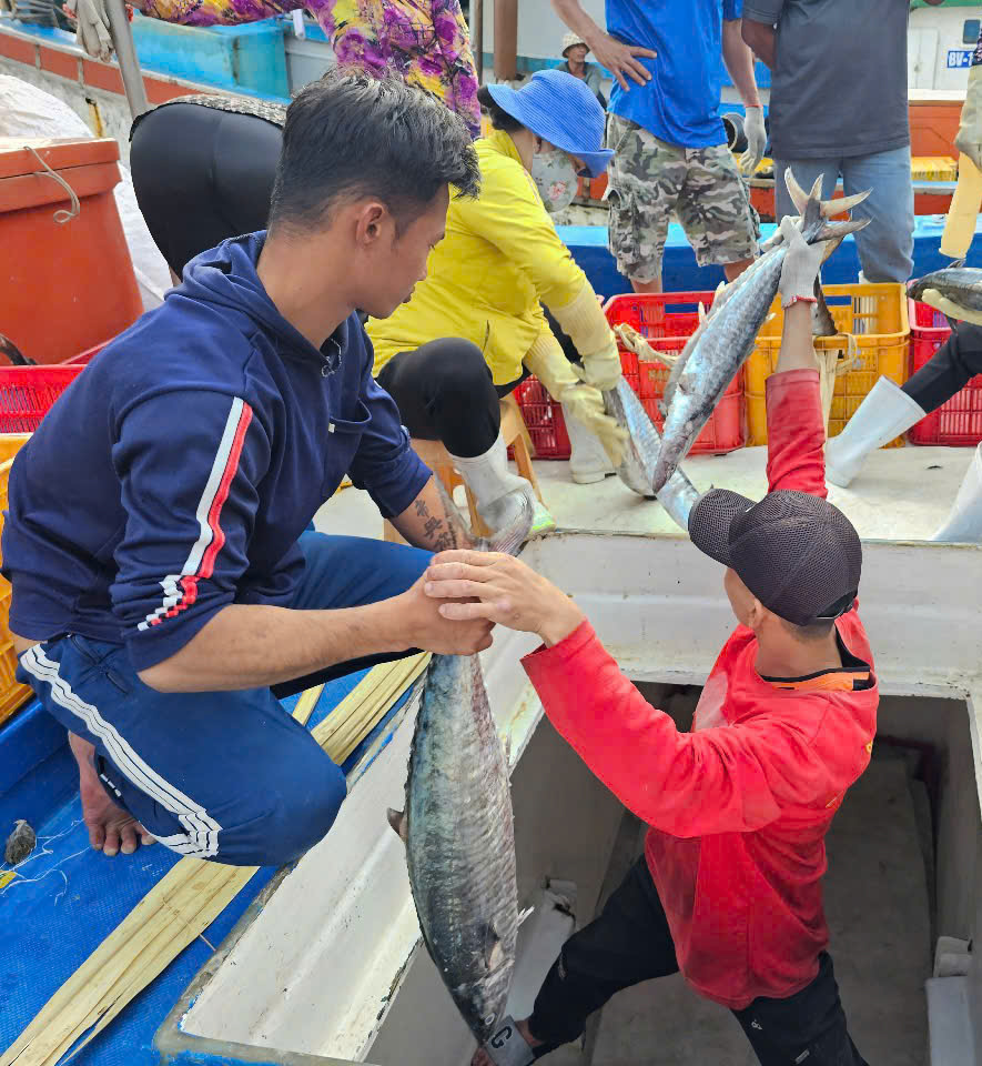 Hầu hết chuyến biển cuối năm các tàu đều trúng, có lợi nhuận từ 100-400 triệu đồng tùy tau.