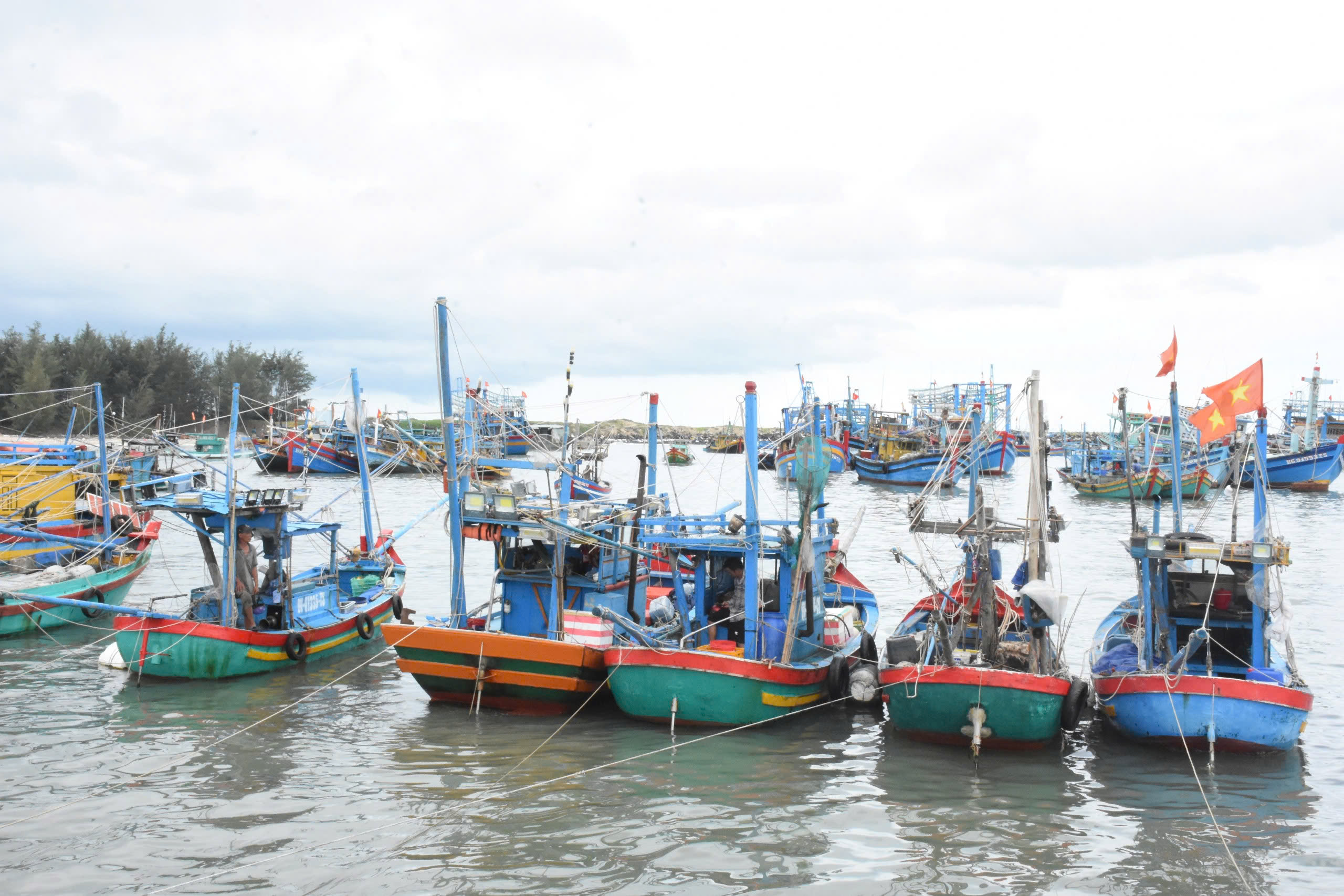 Toàn bộ tàu thuyền hoạt động trên vùng biển Vũng Tàu - Côn Đảo đều bị ảnh hưởng bởi sóng to, gió mạnh. Trong ảnh: Tàu thuyền của ngư dân neo tại vùng biển Bình Châu (huyện Xuyên Mộc) 