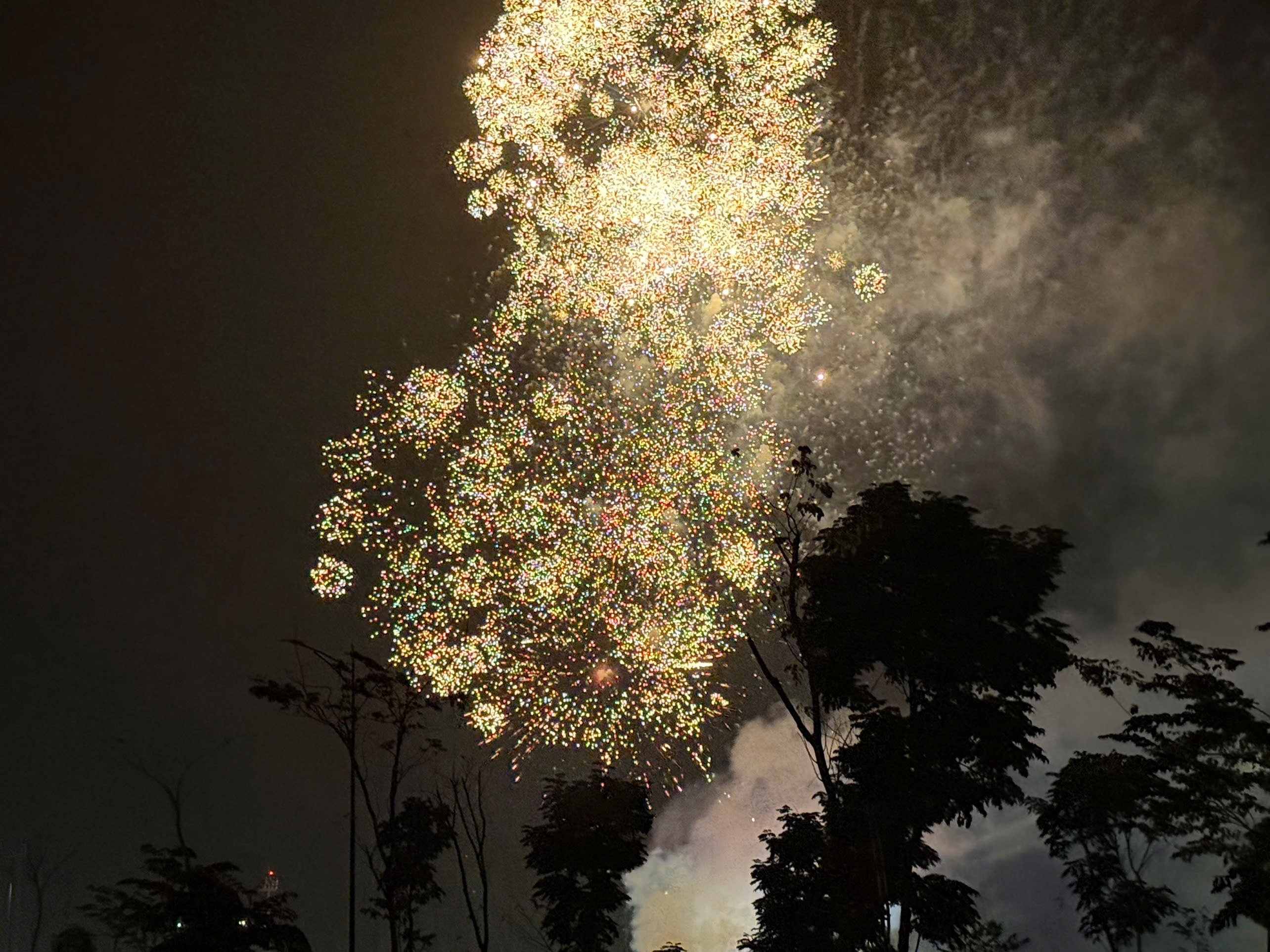 Pháo hoa lung linh tại TP.Bà Rịa.