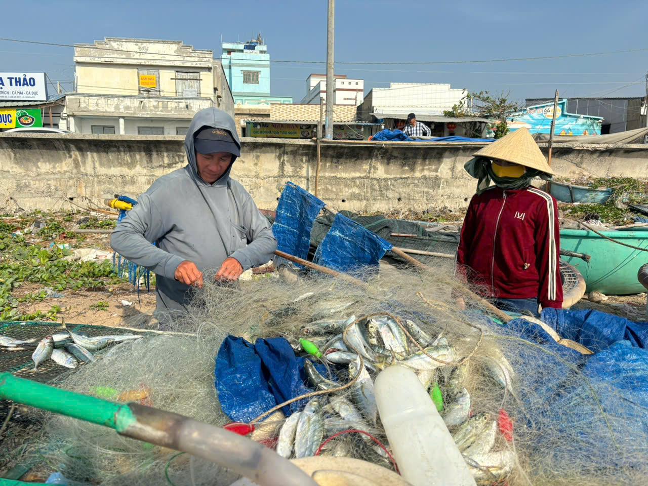 Lộc biển của ngư dân TT.Phước Hải trong ngày xuất hành đầu năm sáng mùng 4 Tết Ất Tỵ. Hầu hết ngư dân kiếm được từ 700 ngàn đến 2 triệu đồng trong ngày xuất hành đầu năm.