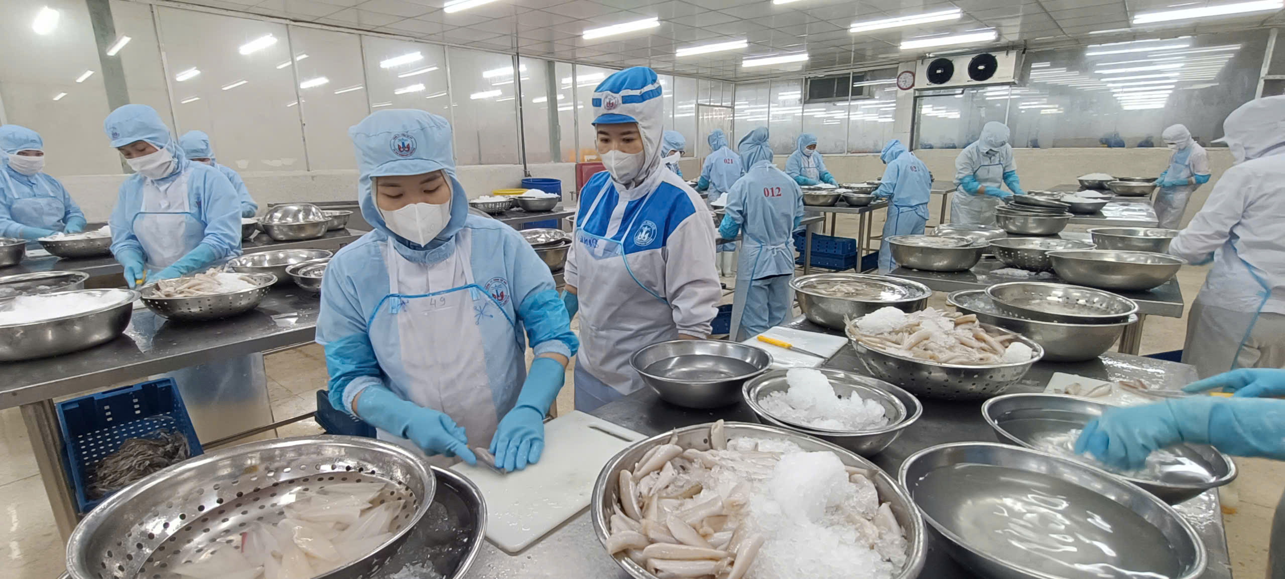 Sơ chê cá đục xuất khẩu qua Nhật Bản ở Công ty Tứ Hải (TP.Vũng Tàu).