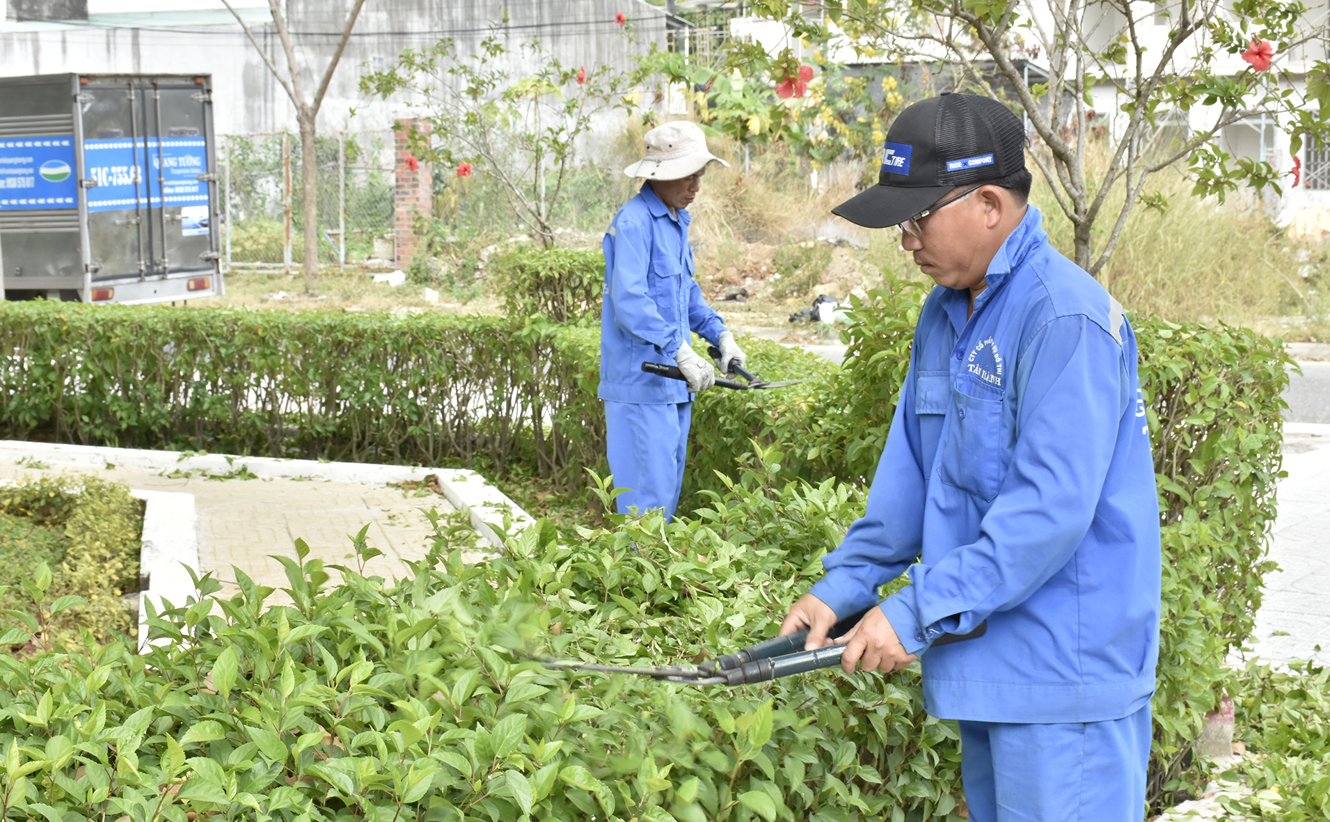 Chăm sóc mảng xanh công viên.