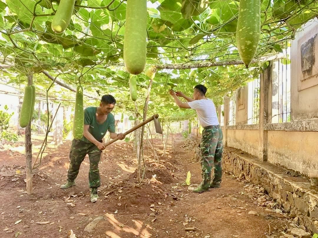 Chiến sĩ mới tại Trung đoàn Minh Đạm tham gia tăng gia sản xuất.