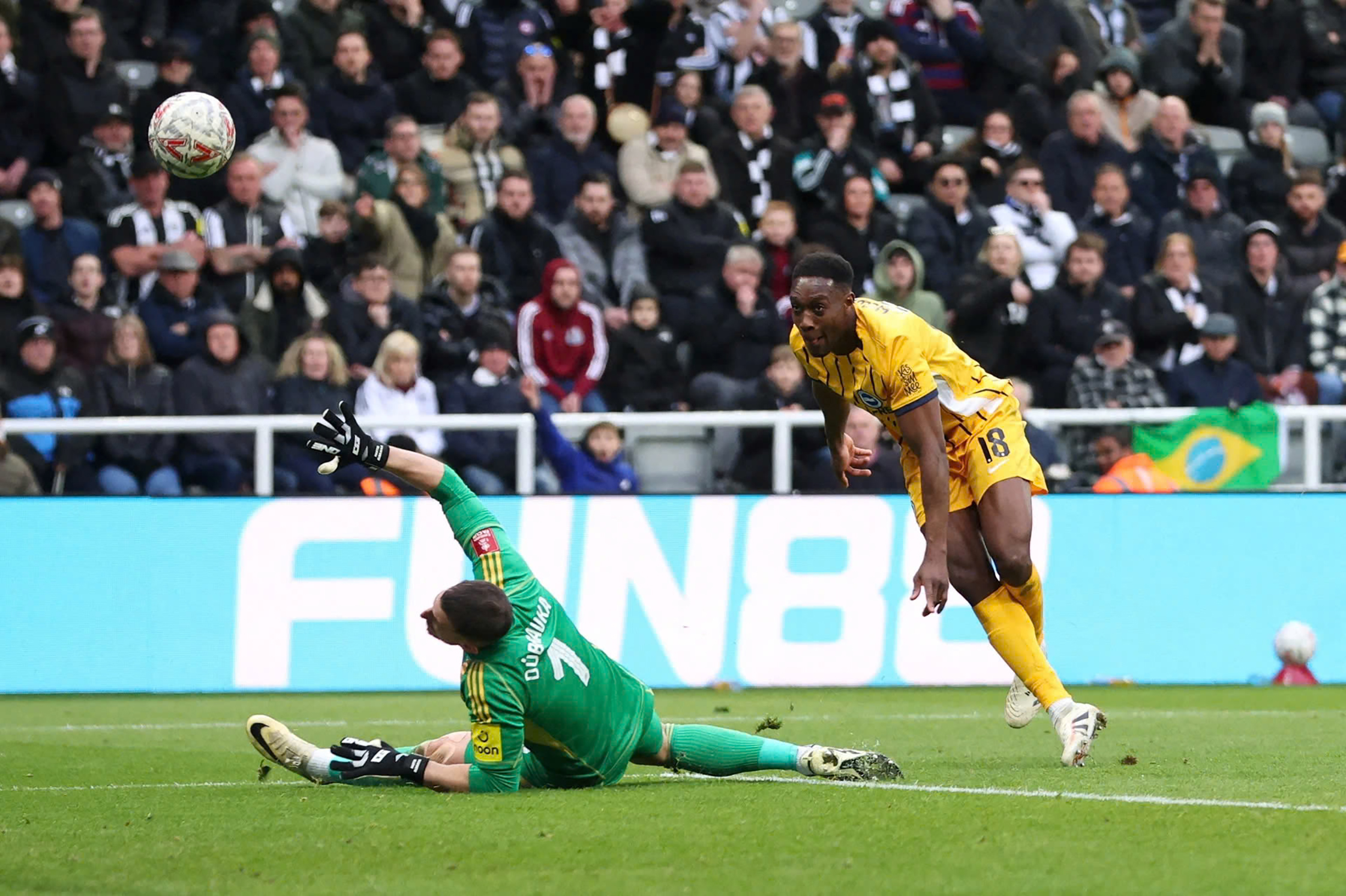 Welbeck ghi bàn giúp Brighton vượt qua Newcastle 2-1 để tiến vào tứ kết FA Cup.