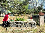 Nghĩa trang Hàng Dương những ngày tháng Tư