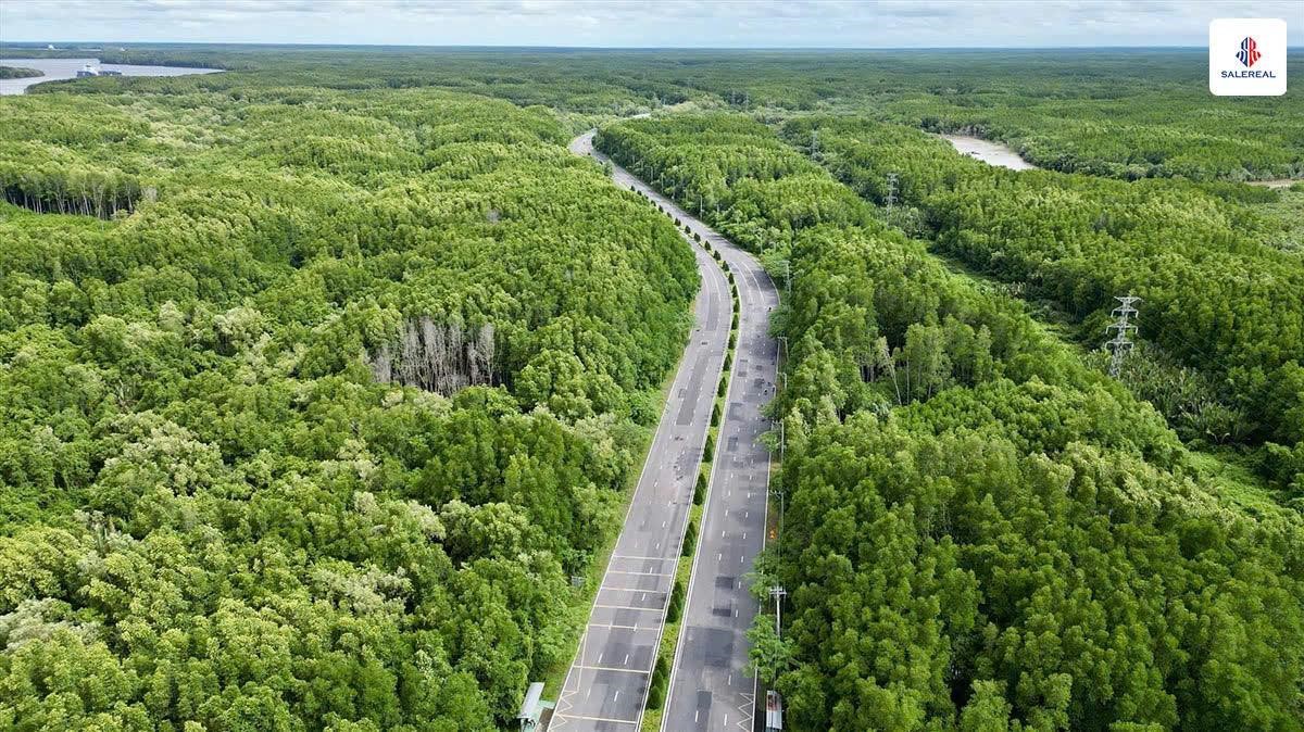 Vị trí Vinhomes Green Paradise: Khả năng kết nối có gì vượt trội?