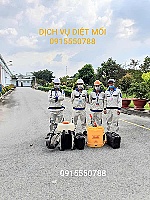 Dịch vụ diệt mối Phương Nam – An toàn, hiệu quả, chuyên nghiệp