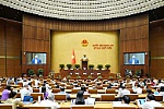 Đề xuất tăng thuế tiêu thụ đặc biệt với rượu, bia, thuốc lá từ năm 2027