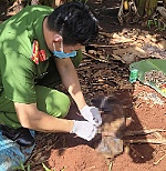 Phát hiện thi thể trẻ sơ sinh trong vườn chuối