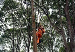 Các nhóm khách hàng ảnh hưởng như thế nào khi giá điện tăng?
